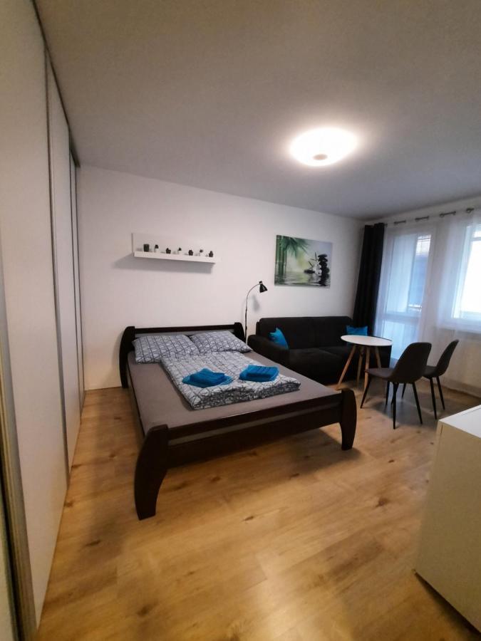 Apartment Klimka With Balcony, Free Wifi And Free Parking ブラチスラヴァ エクステリア 写真